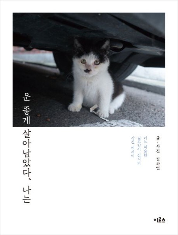 [고양이 책] 운 좋게 살아남았다, 나는 - 김하연 에세이