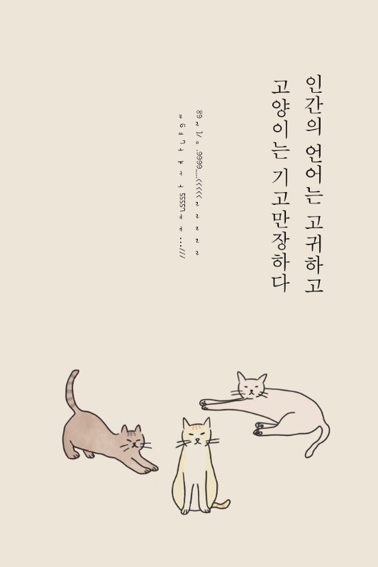 [예약판매][새벽감성] 『인간의 언어는 고귀하고 고양이는 기고만장하다』 인간과 고양이의 합작품 콜라보 사진 에세이 / ~5월 28일 발송 예정